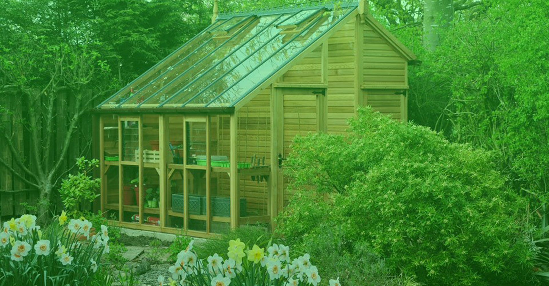 bg-swissgreenhouse